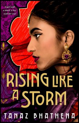 Book cover of RISING LIKE A STORM