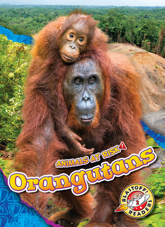 Book cover of ANIMALS AT RISK - ORANGUTANS
