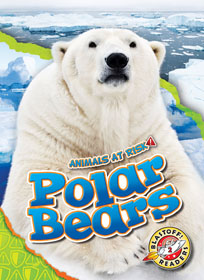 Book cover of ANIMALS AT RISK - POLAR BEARS