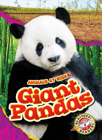Book cover of ANIMALS AT RISK - GIANT PANDAS