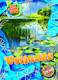 Book cover of WETLANDS