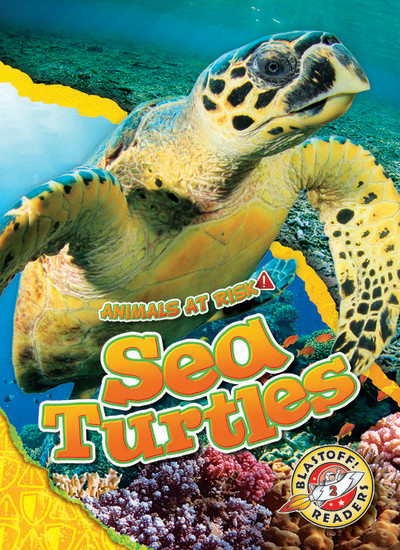 Book cover of ANIMALS AT RISK - SEA TURTLES