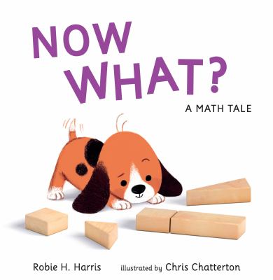 Book cover of NOW WHAT? A MATH TALE