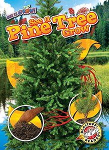 Book cover of SEE A PINE TREE GROW