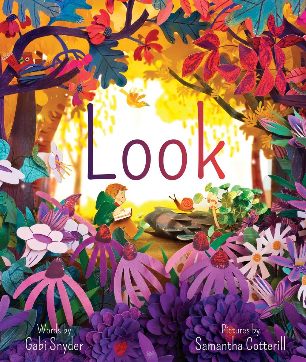 Book cover of LOOK