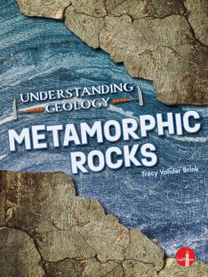 Book cover of METAMORPHIC ROCKS