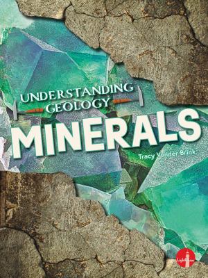 Book cover of MINERALS