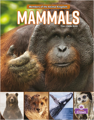 Book cover of MAMMALS