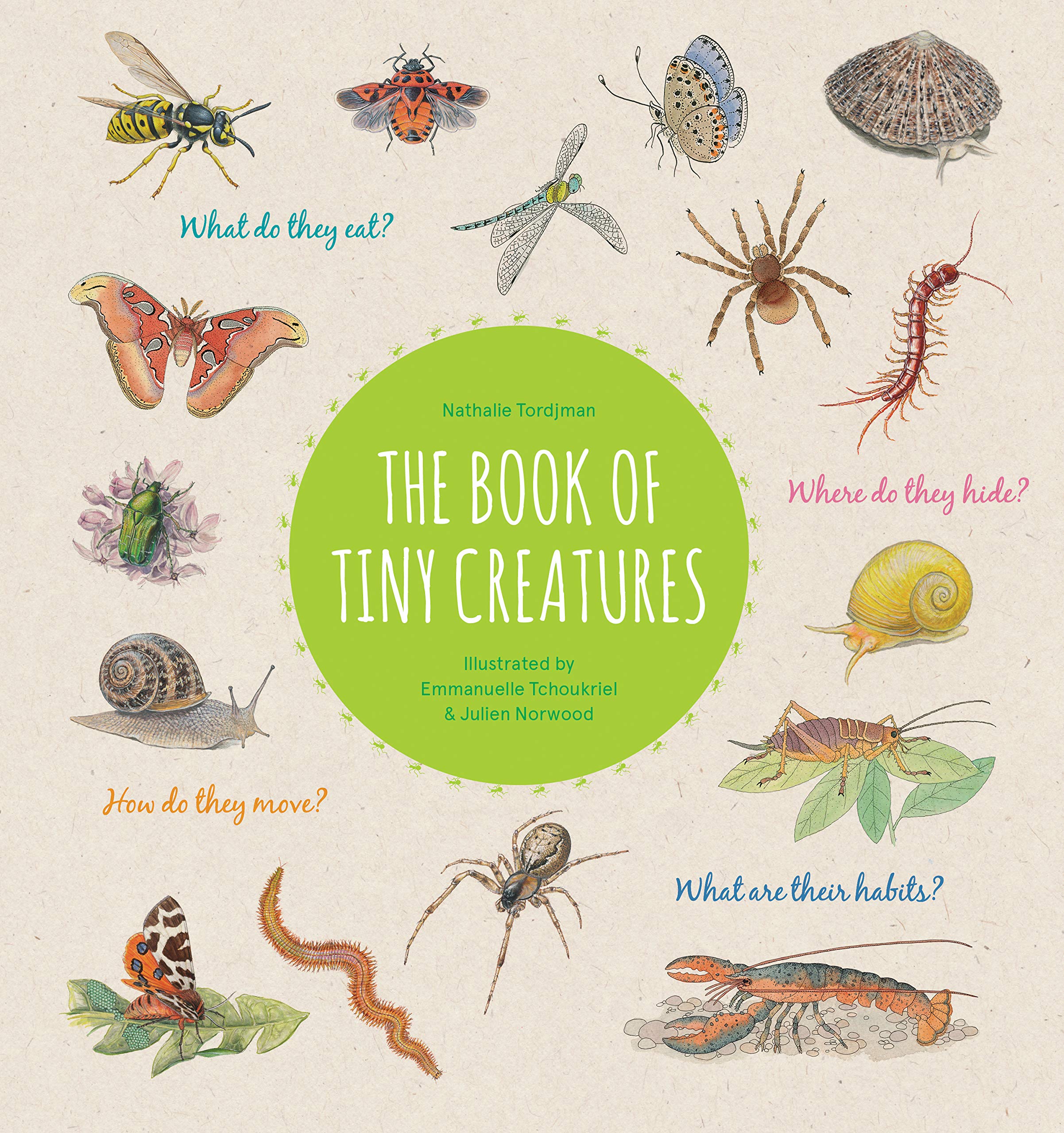 Book cover of BOOK OF TINY CREATURES