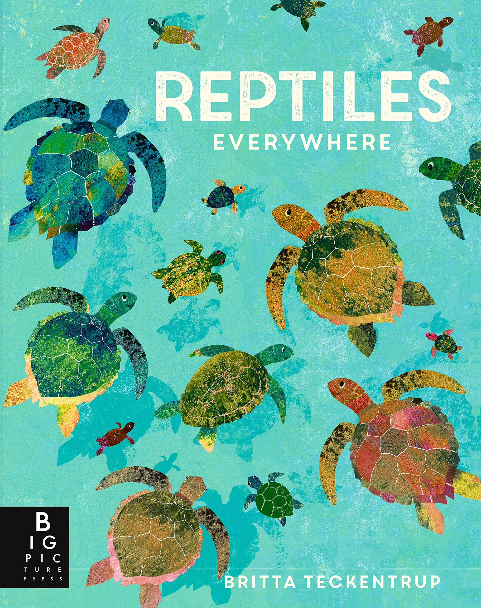 Book cover of REPTILES EVERYWHERE