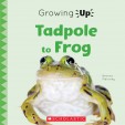 Book cover of TADPOLE TO FROG