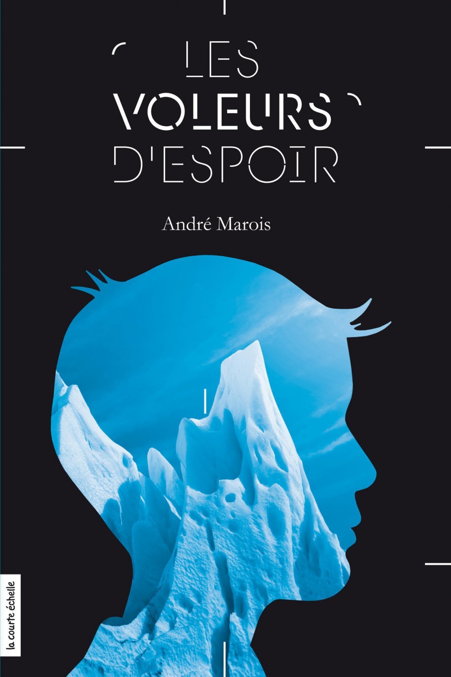 Book cover of VOLEURS D'ESPOIR 01