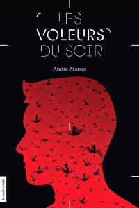 Book cover of VOLEURS DU SOIR 03