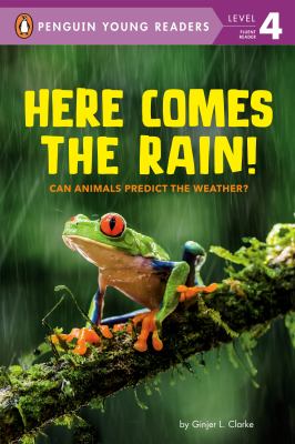 Book cover of HERE COMES THE RAIN