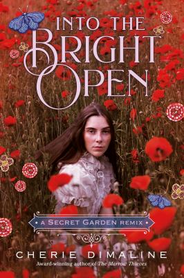 Book cover of INTO THE BRIGHT OPEN - A SECRET GARDEN REMIX