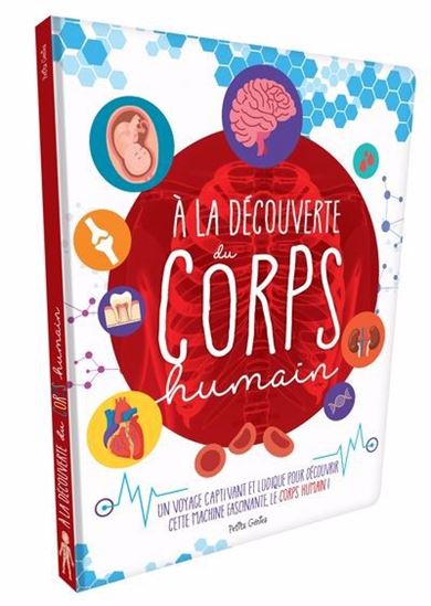 Book cover of À LA DÉCOUVERTE DU CORPS HUMAIN