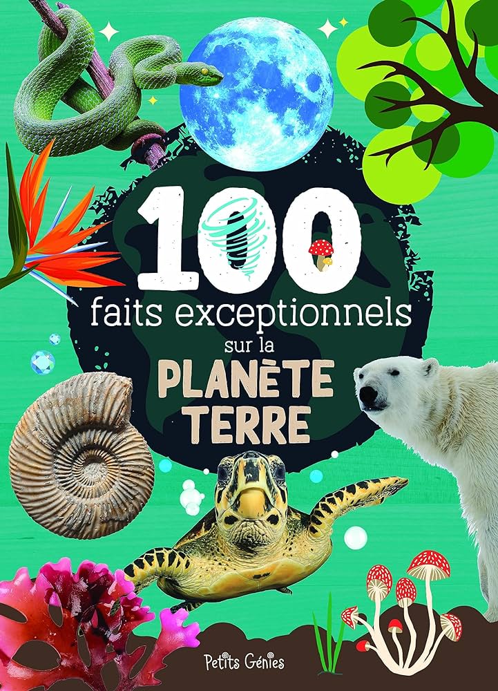 Book cover of 100 FAITS EXCEPTIONNELS SUR LA PLANETE