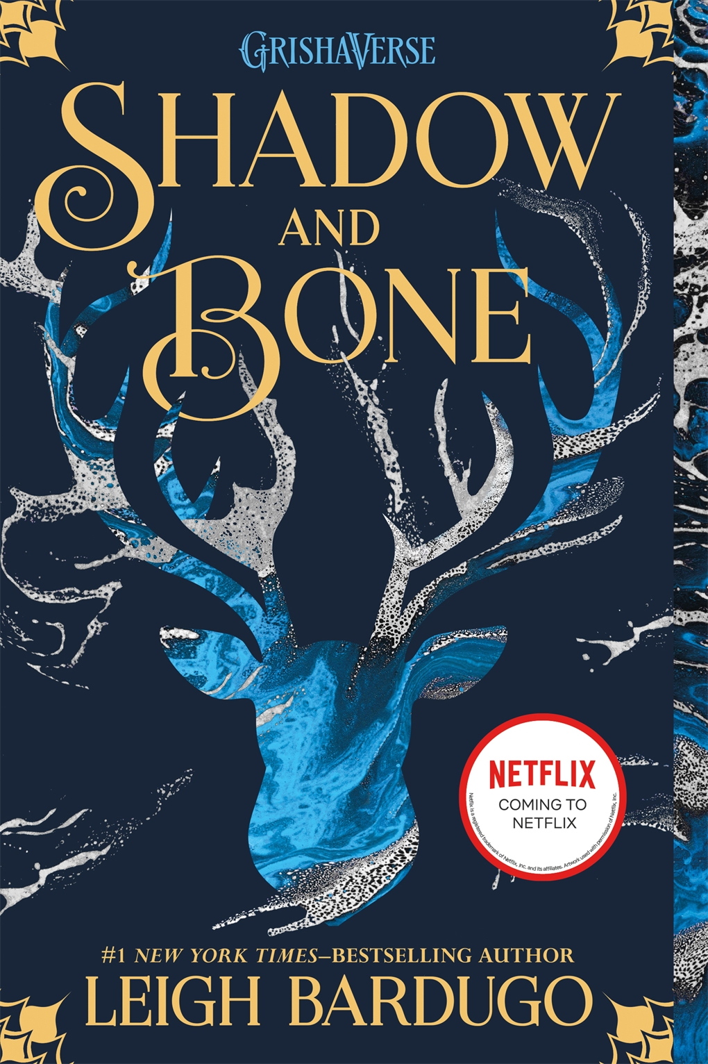 Book cover of SHADOW & BONE 01