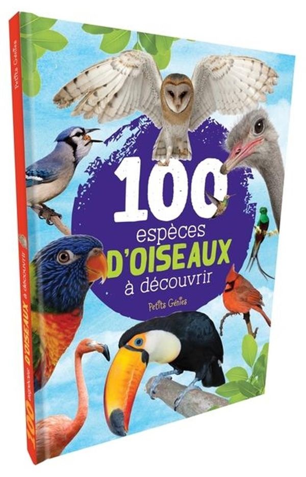 Book cover of 100 ESPECES D'OISEAUX A DECOUVRIR