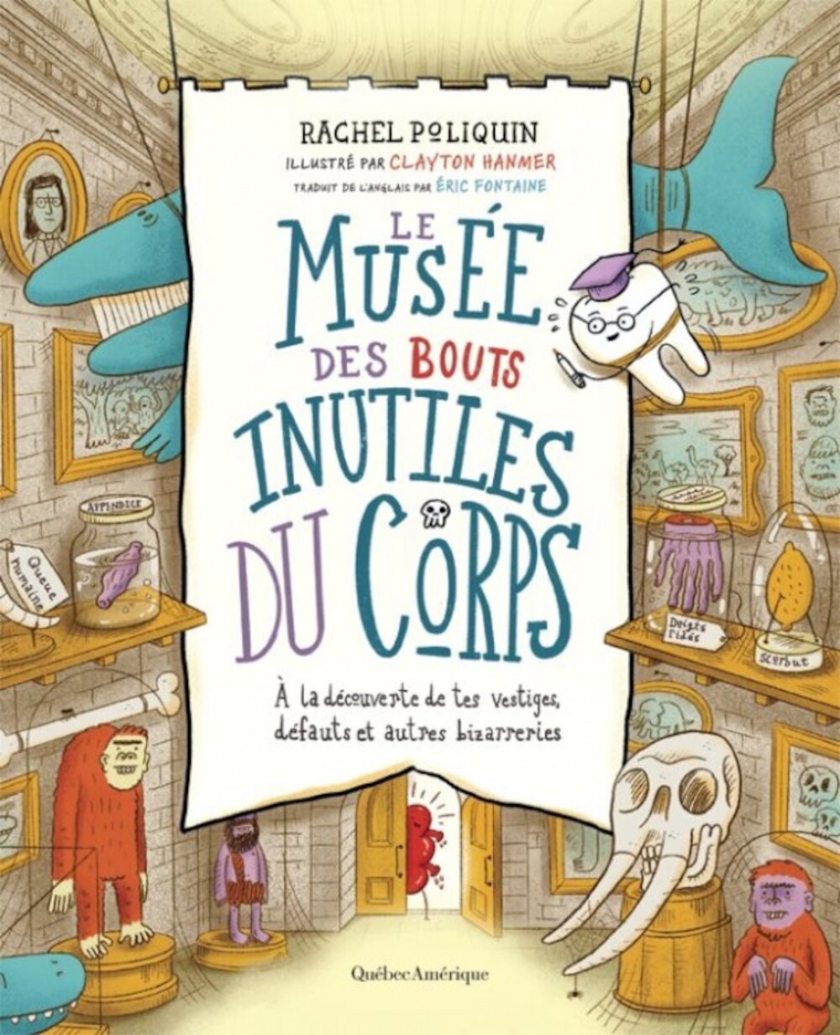 Book cover of MUSEE DES BOUTS INUTILS DU CORPS