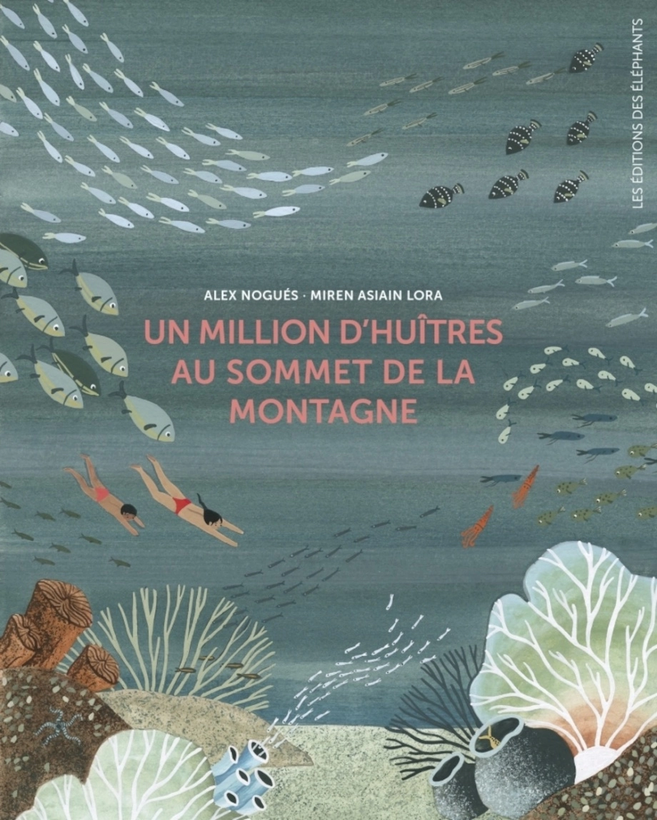 Book cover of MILLION D'HUITRES AU SOMMET DE LA MONTAG