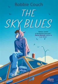 Book cover of SKY BLUES FR